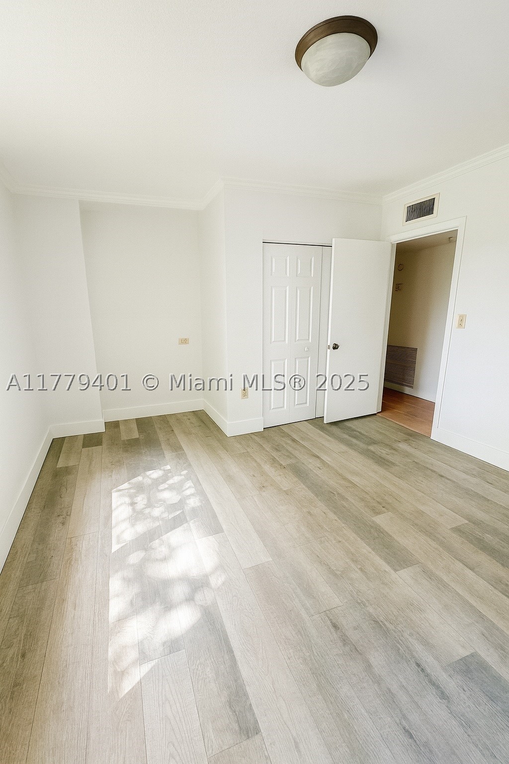Miami photo 4