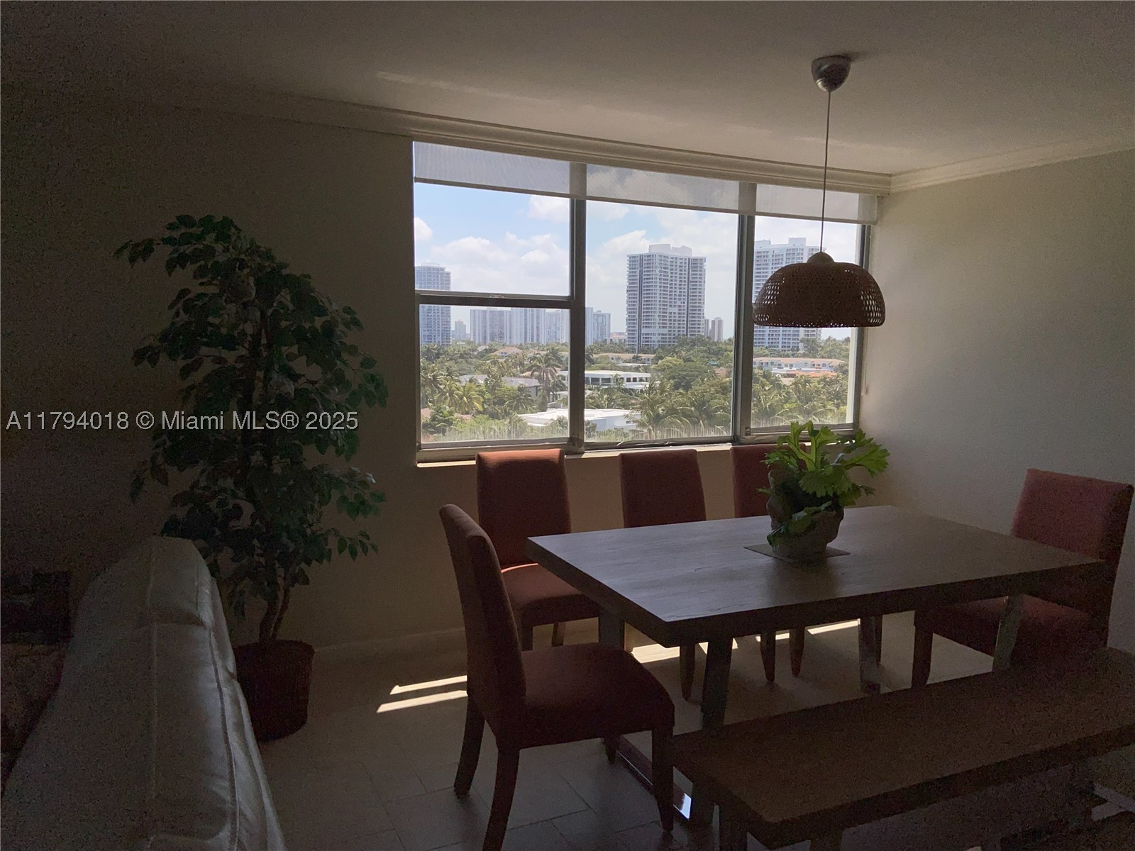 Hallandale Beach photo 3
