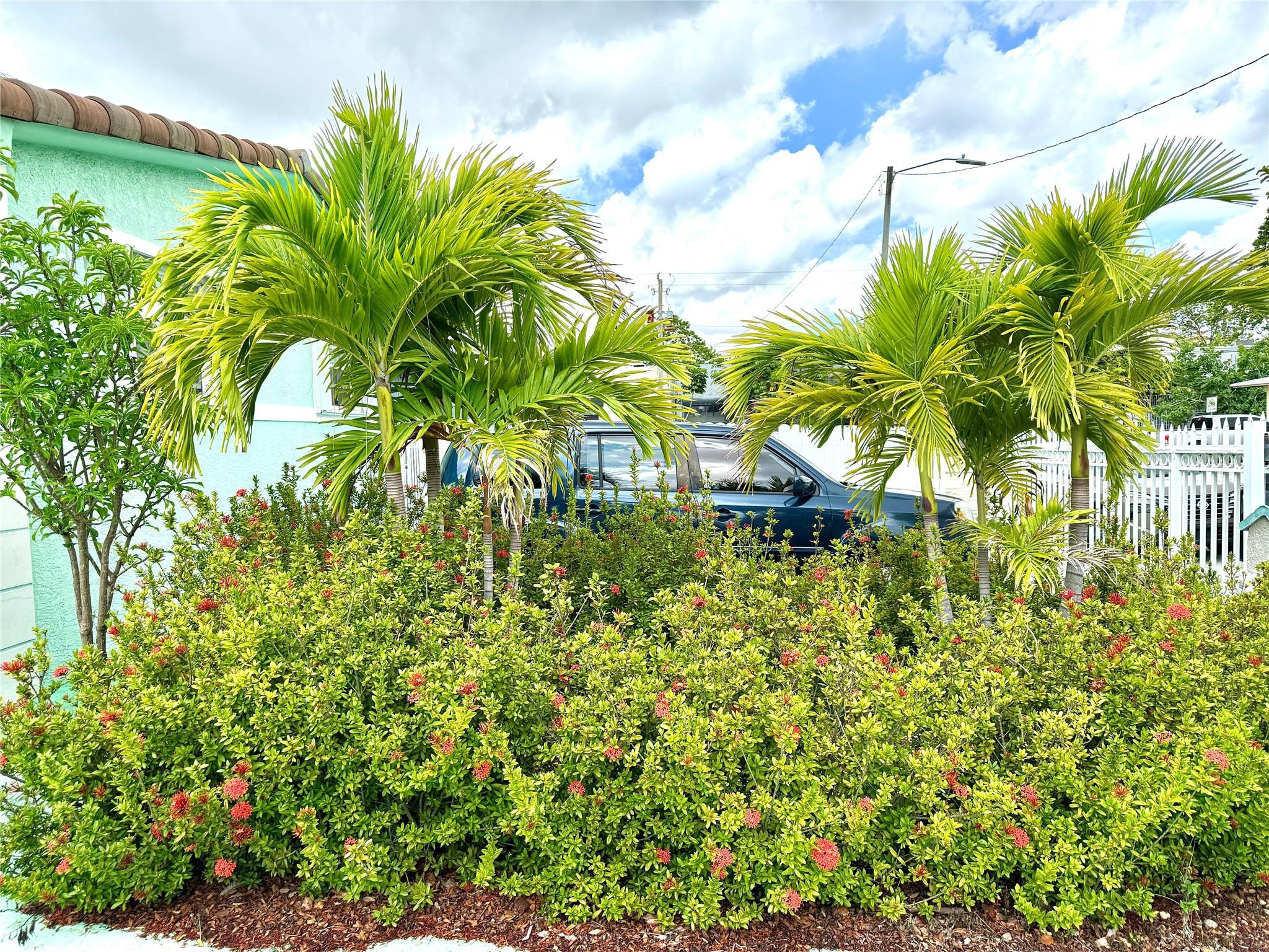 Miami photo 2