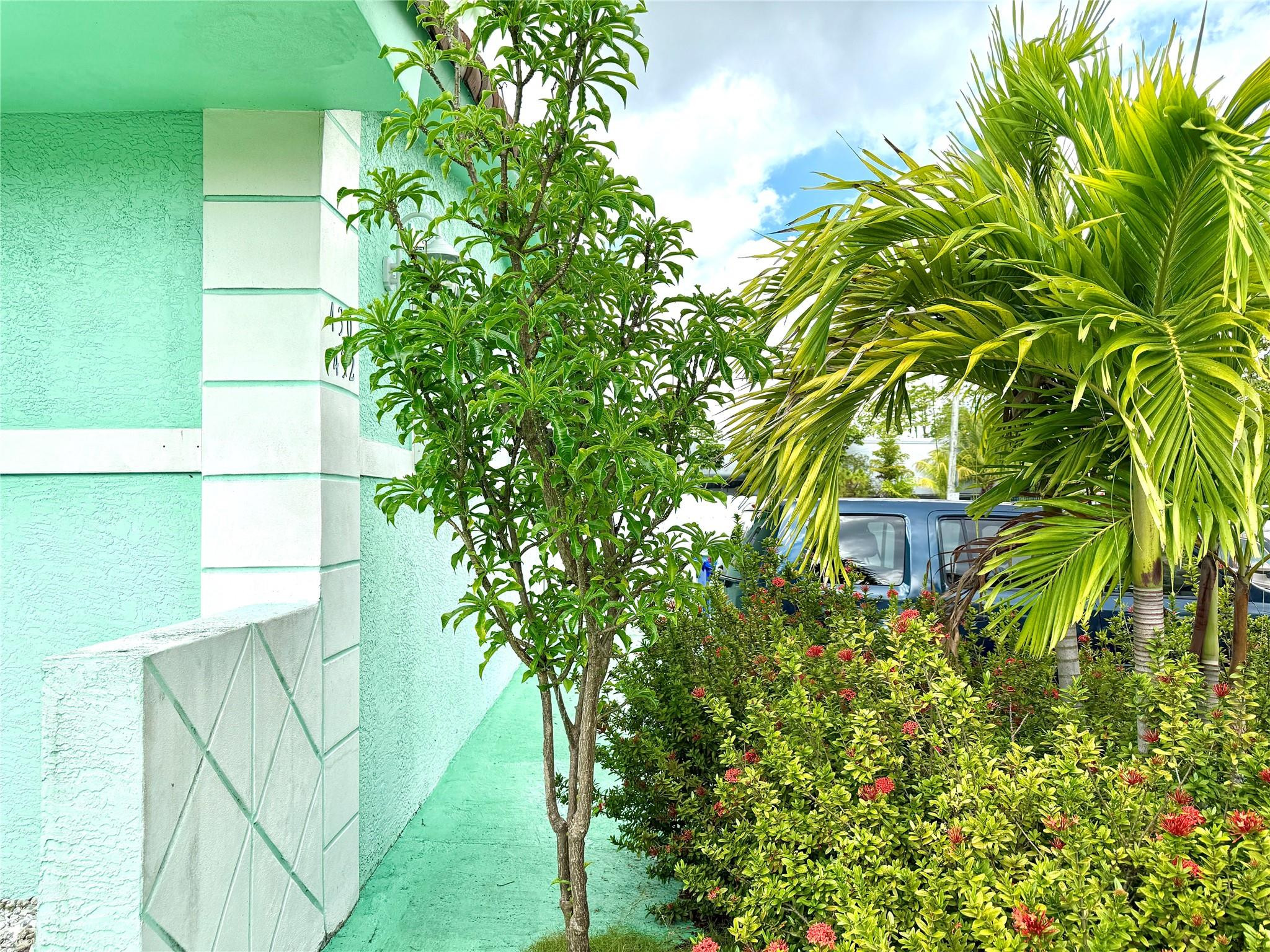 Miami photo 4