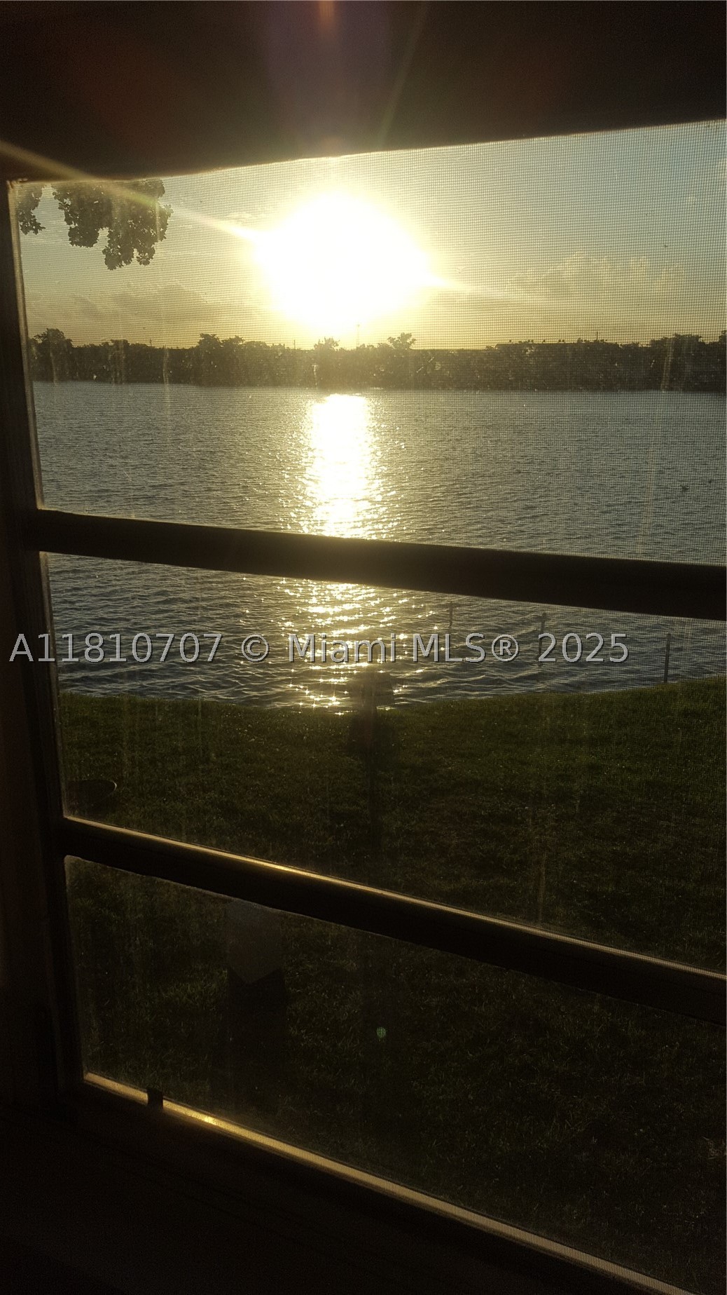 Miami photo 1