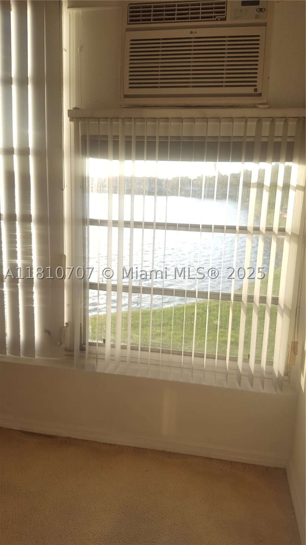 Miami photo 3
