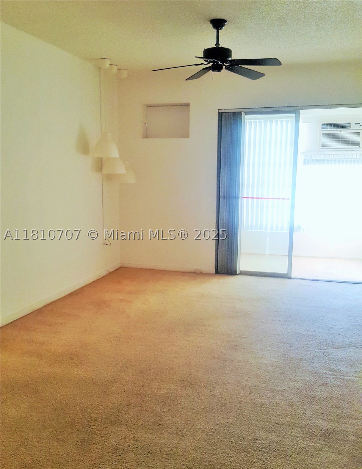Miami photo 4