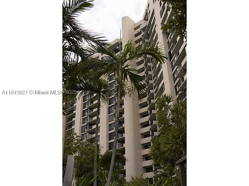 Miami photo 3