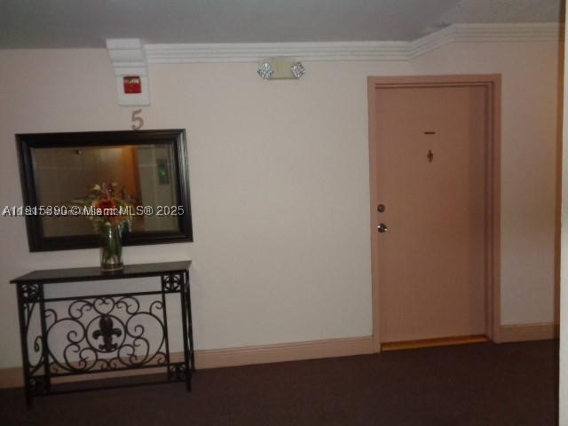 Miami photo 4