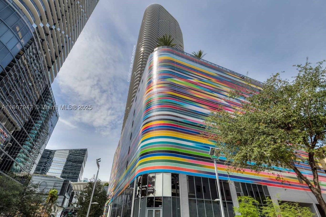 Miami photo 5