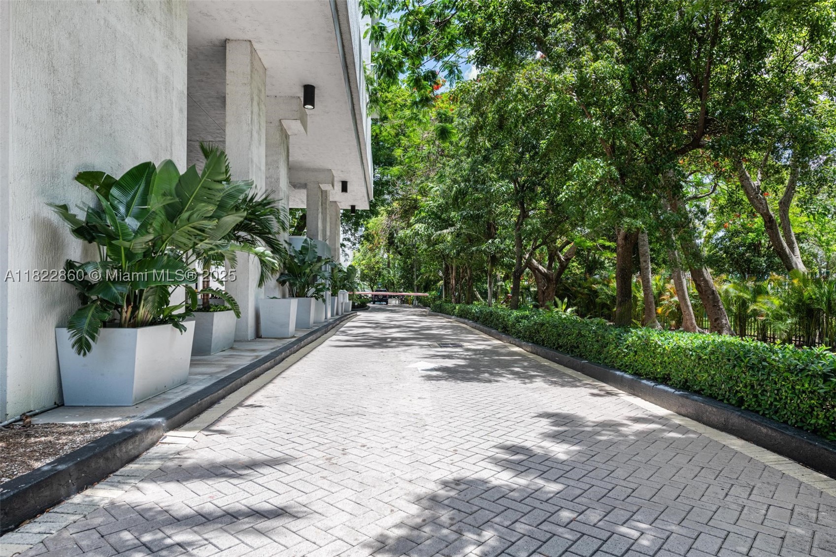 Miami photo 4