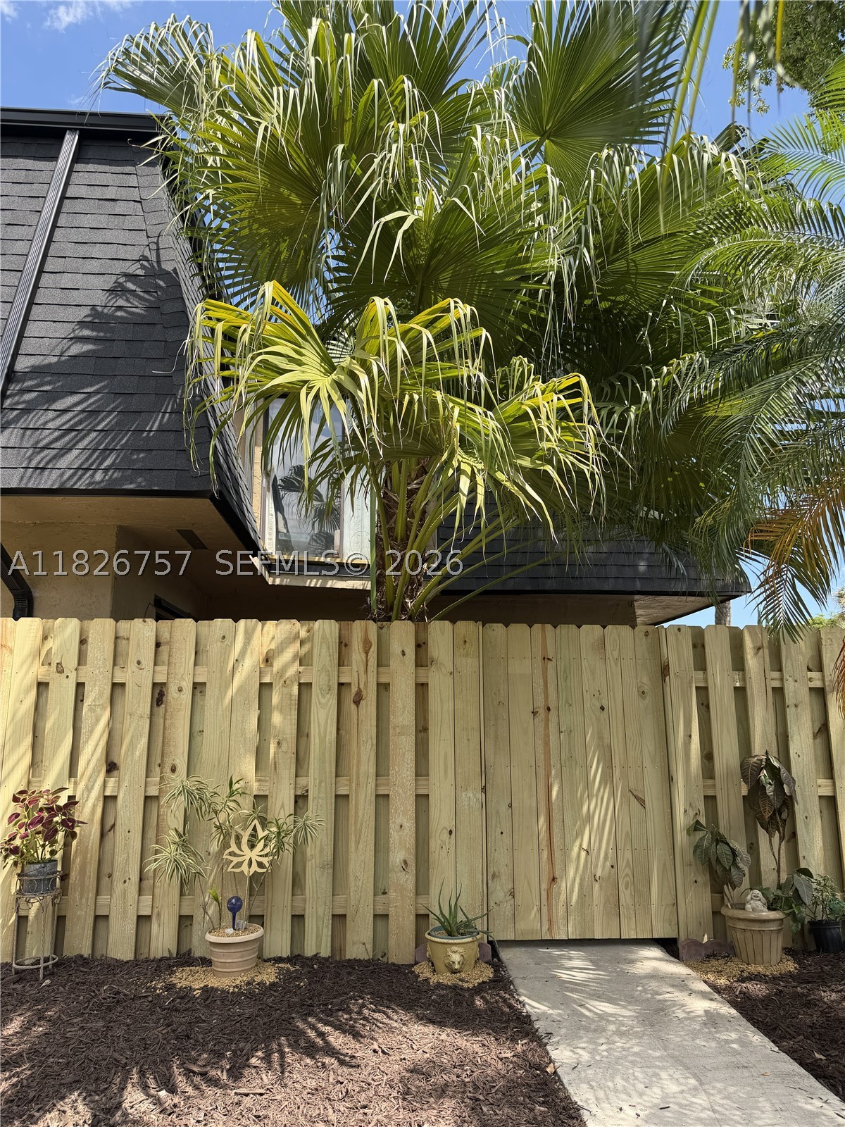 Miami photo 2