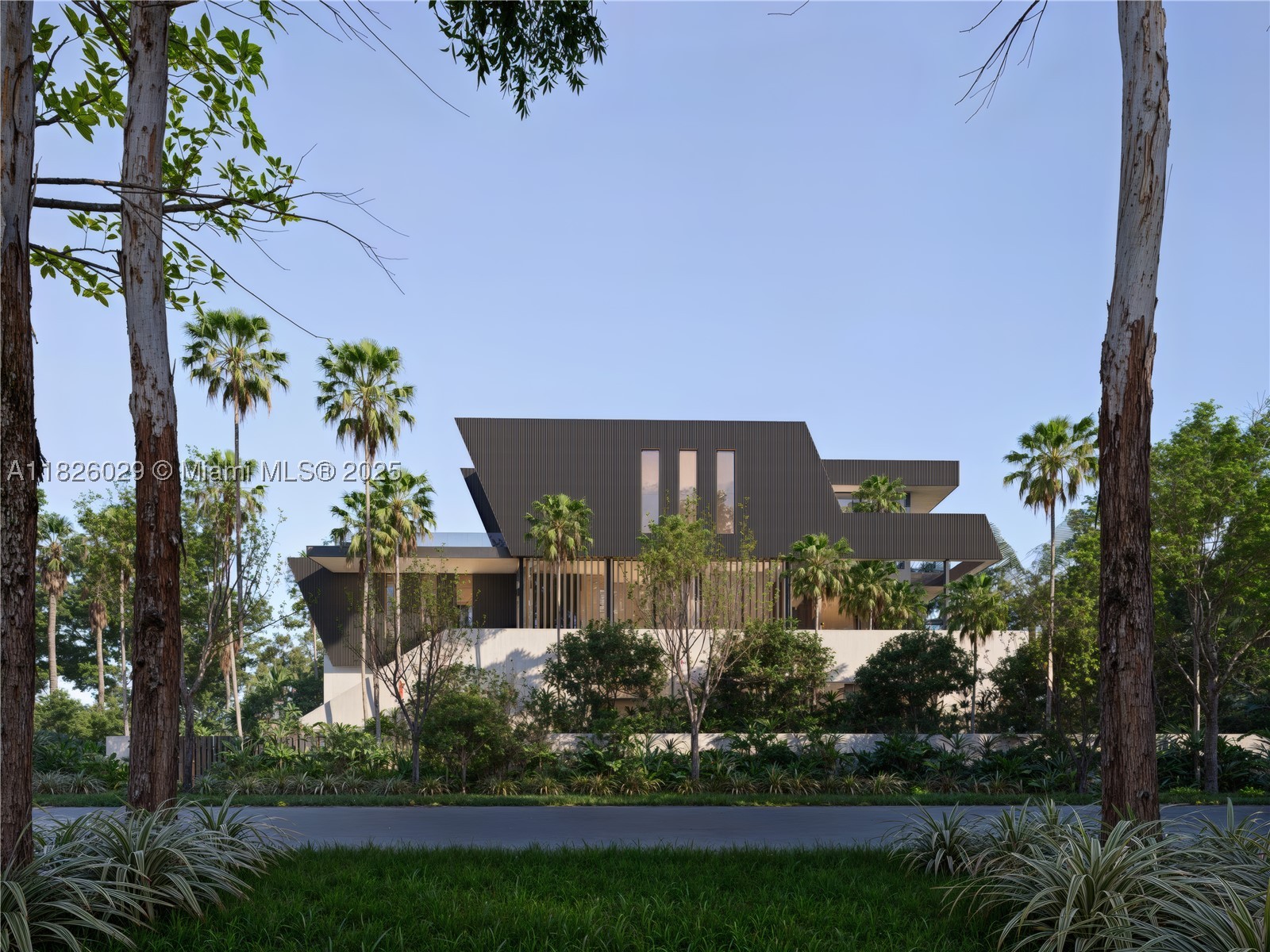 Miami Beach photo 4