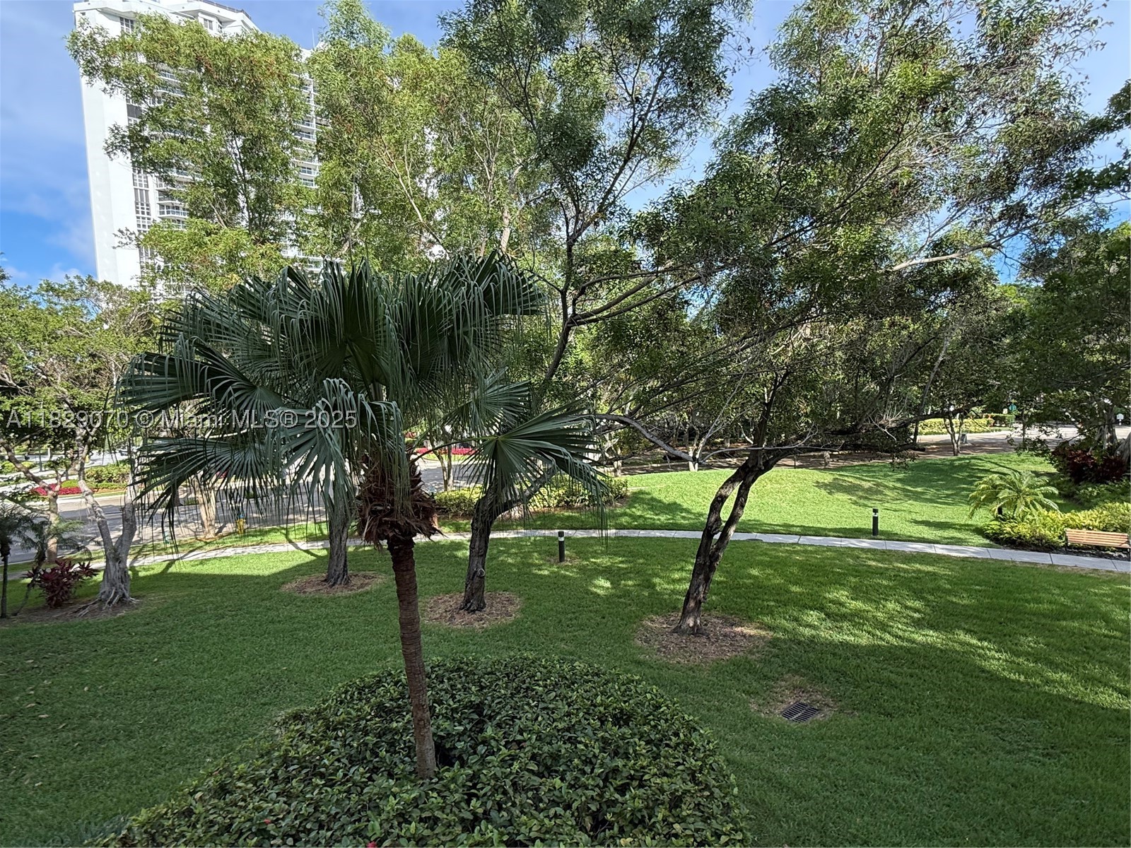 Aventura photo 5