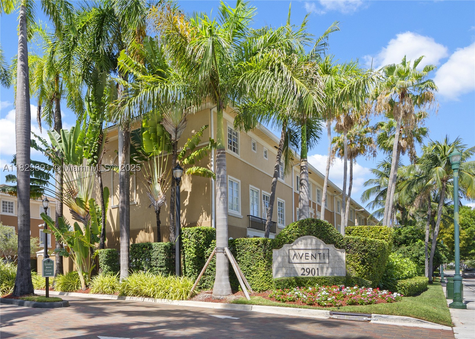 Aventura photo 1