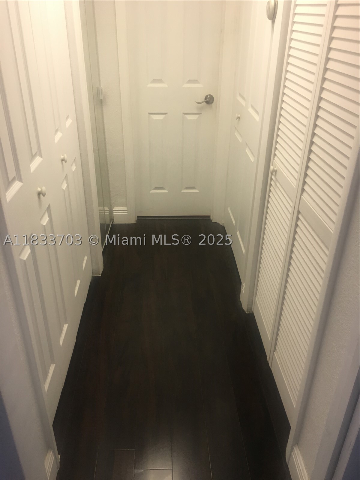 Miami photo 5