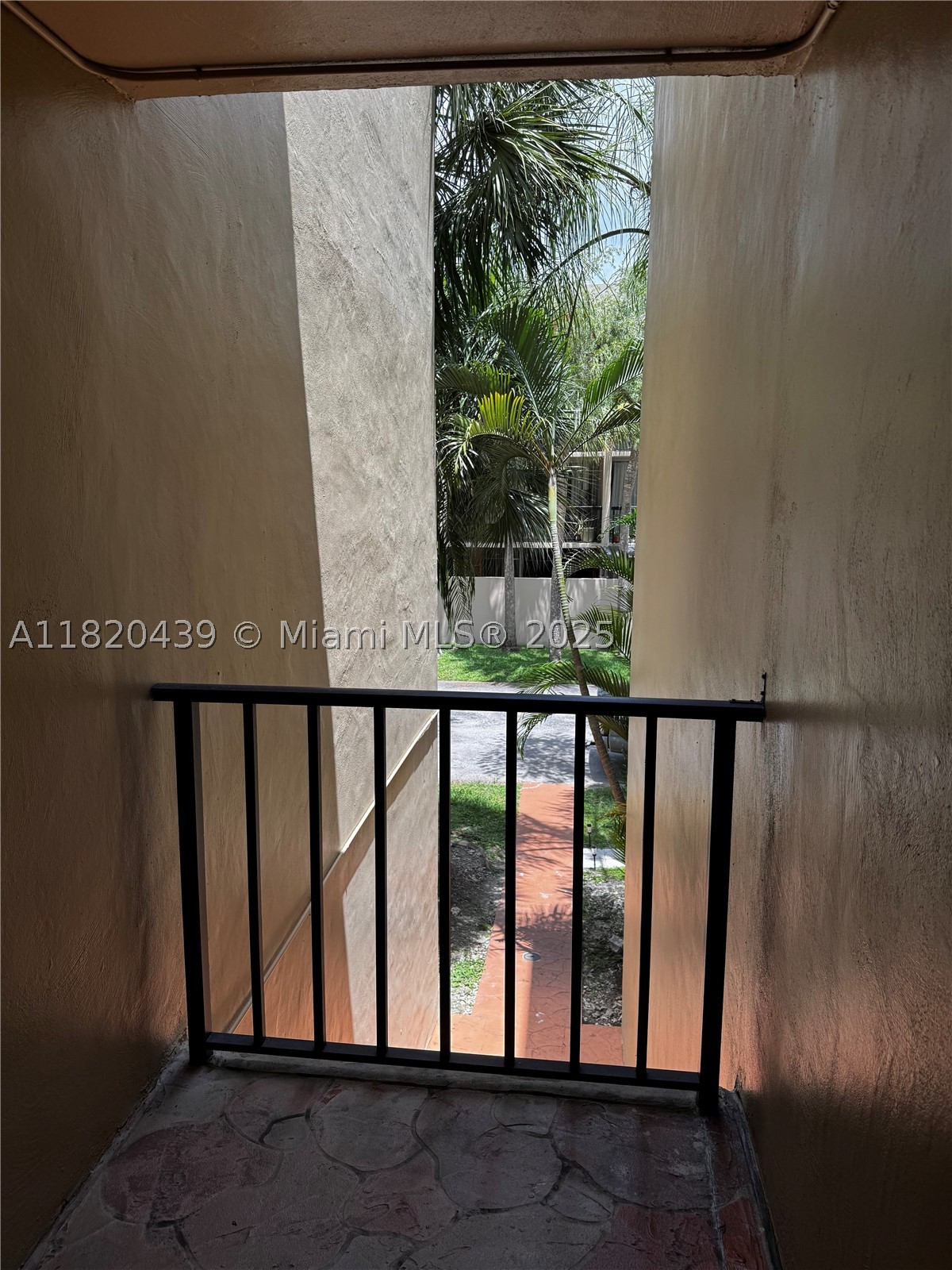 Miami photo 3