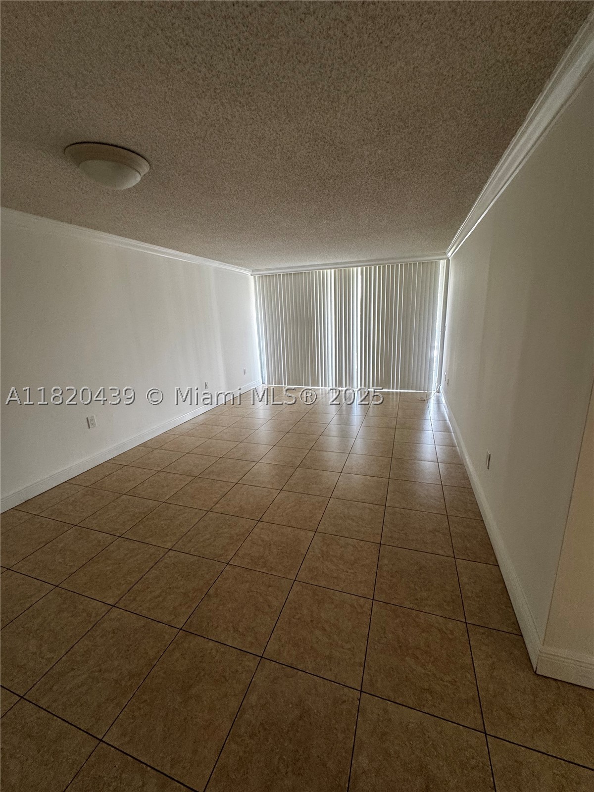 Miami photo 4
