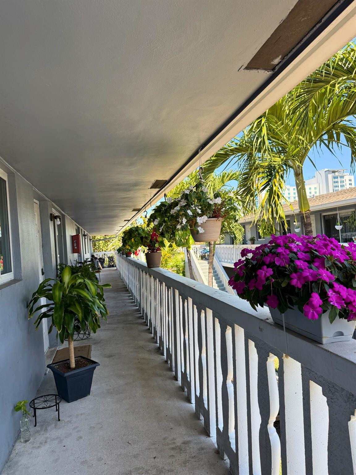 Fort Lauderdale photo 5