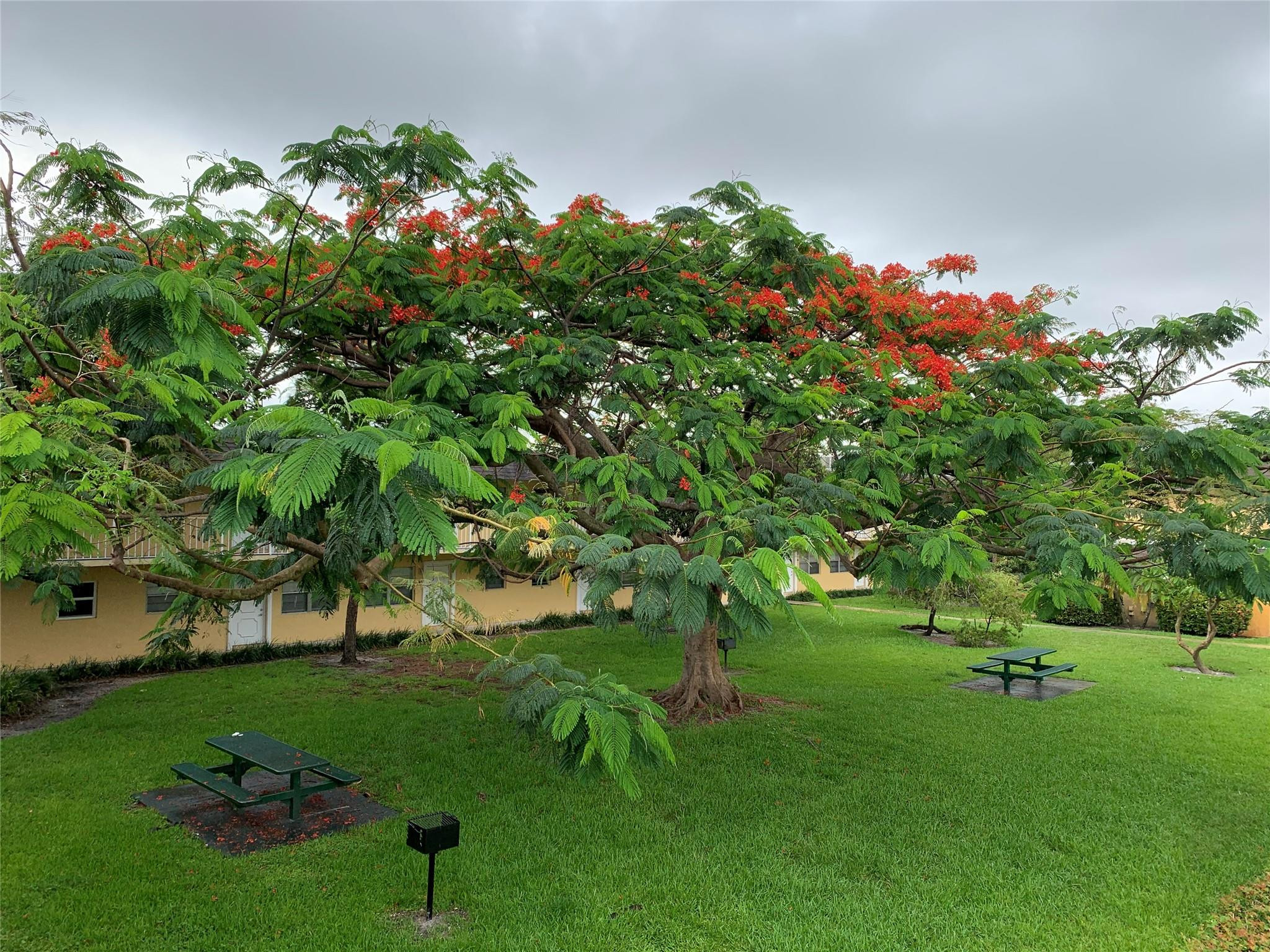 Fort Lauderdale photo 2