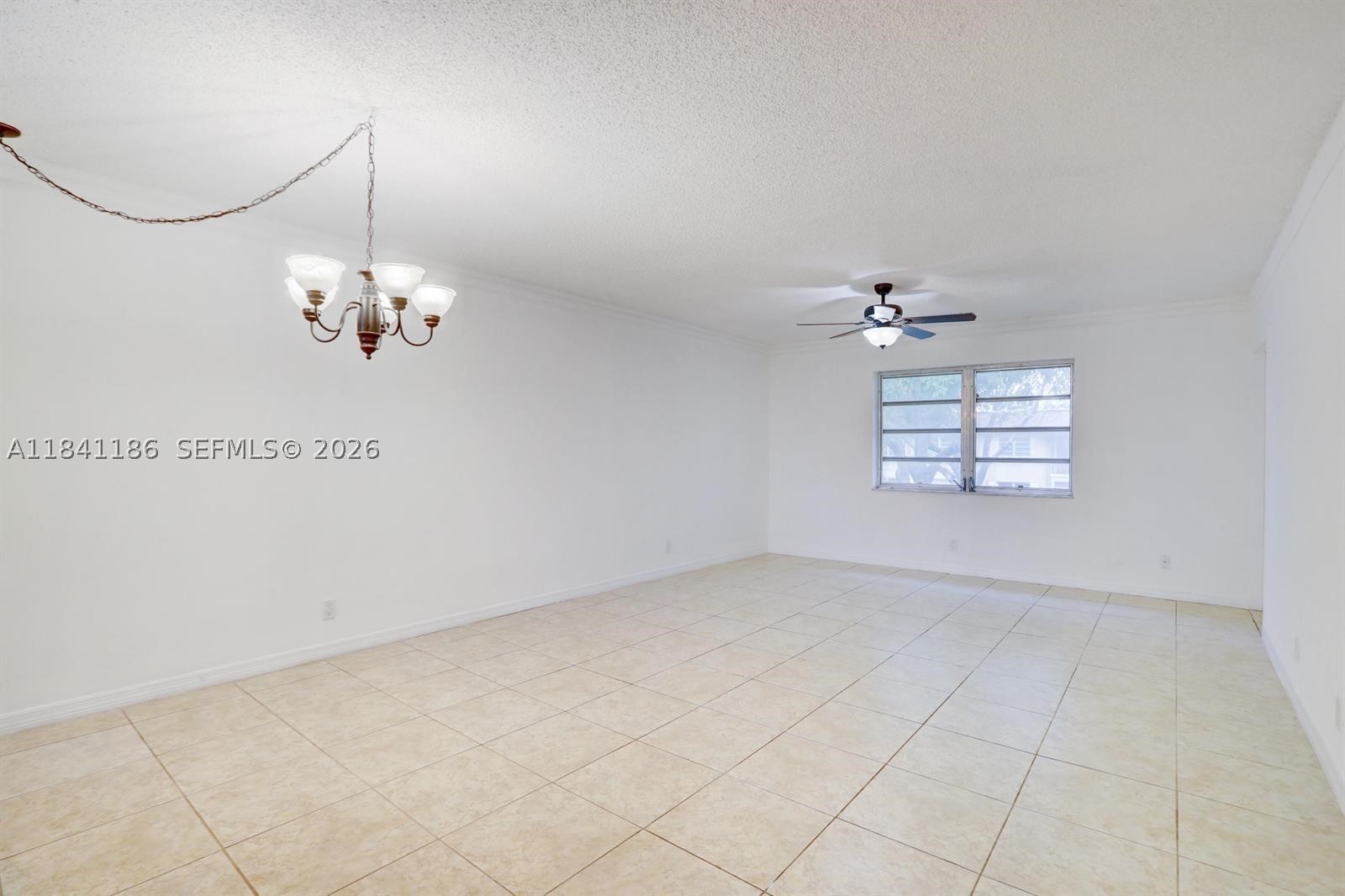 Dania Beach photo 5