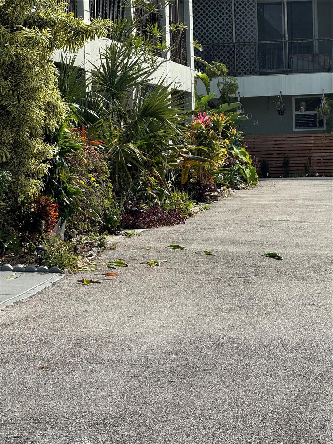 Hollywood photo 1