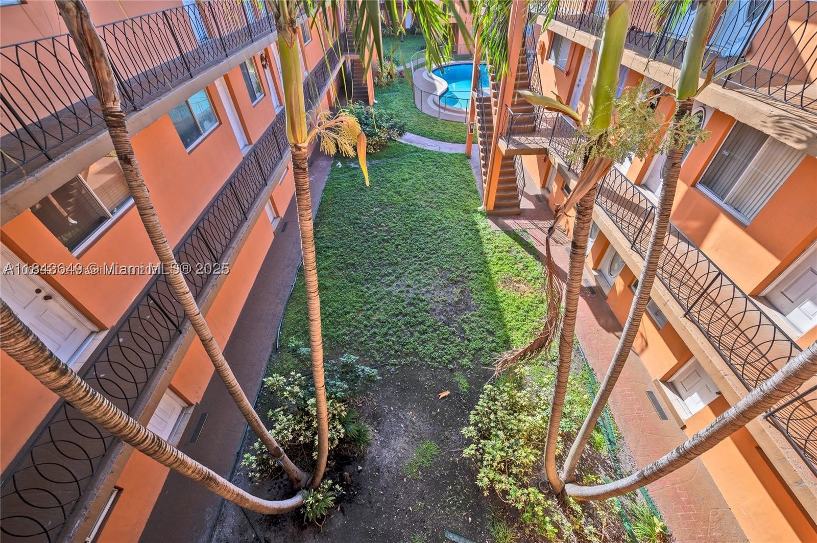 Miami photo 4