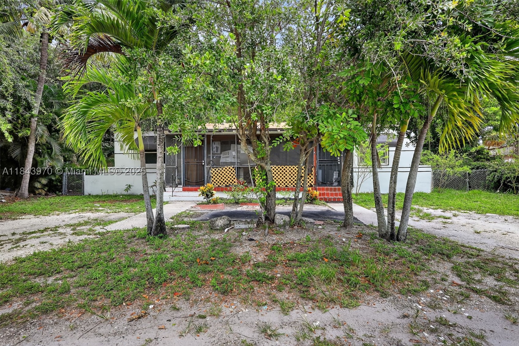 North Miami photo 3