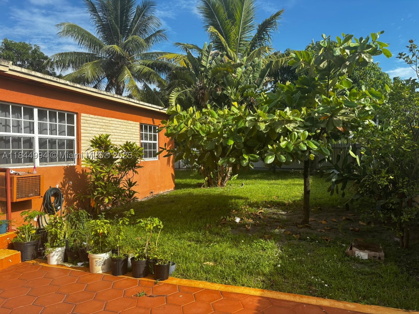 Miami photo 1