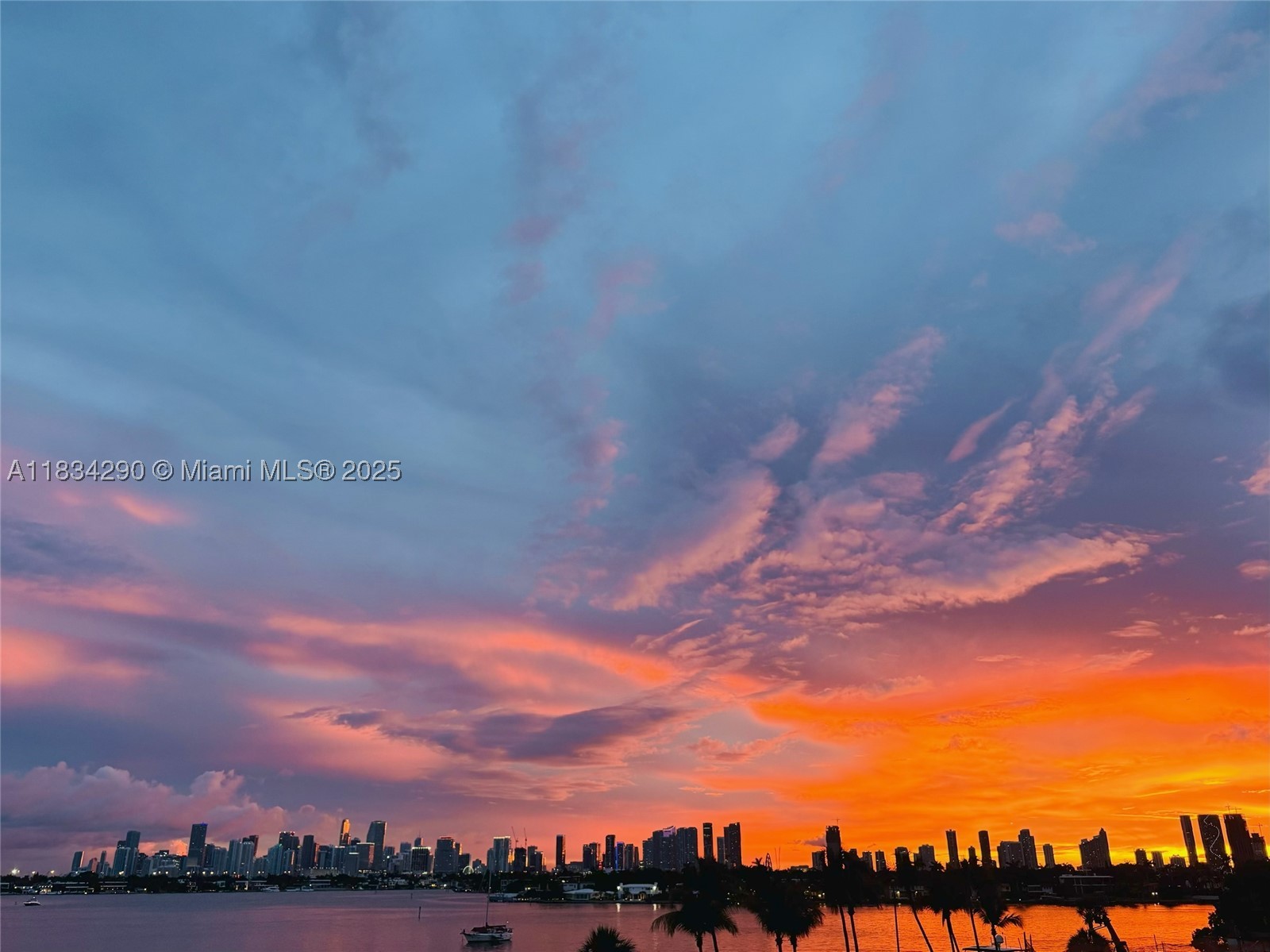 Miami Beach photo 3