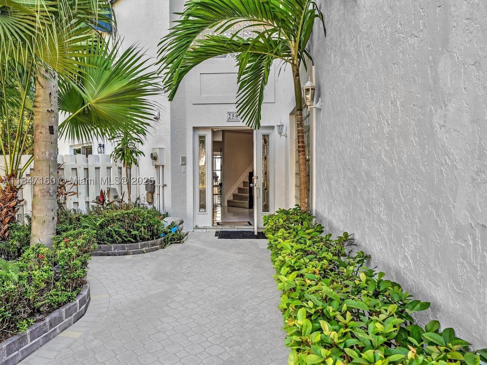 Miami photo 5