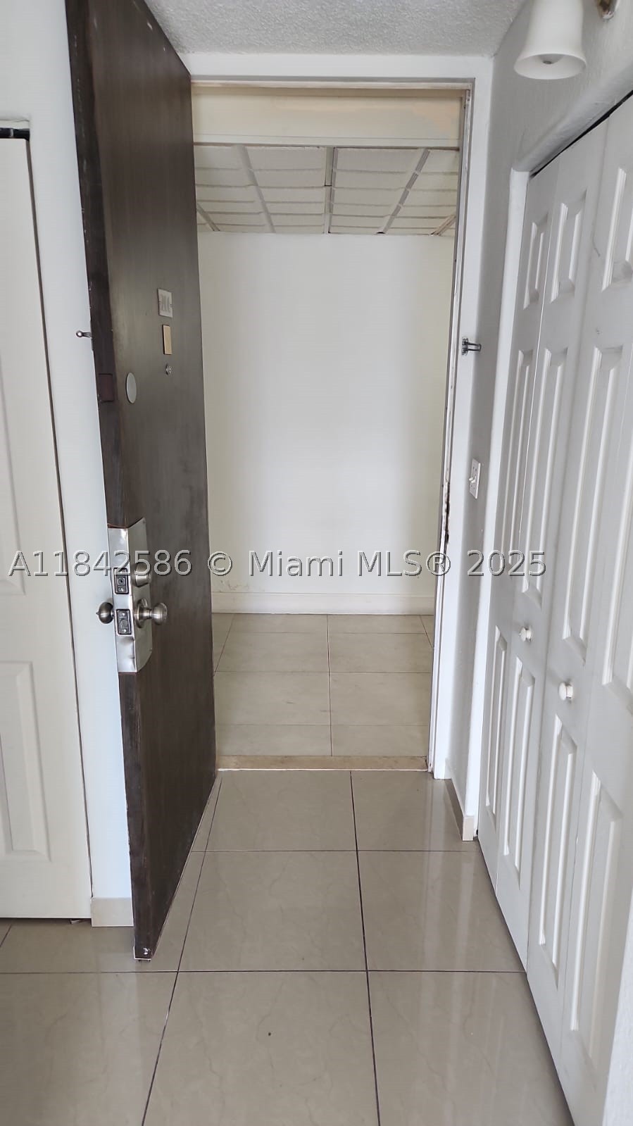 Miami photo 3