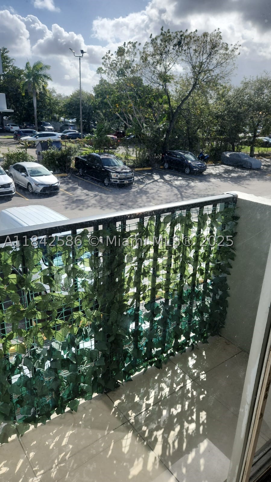 Miami photo 4
