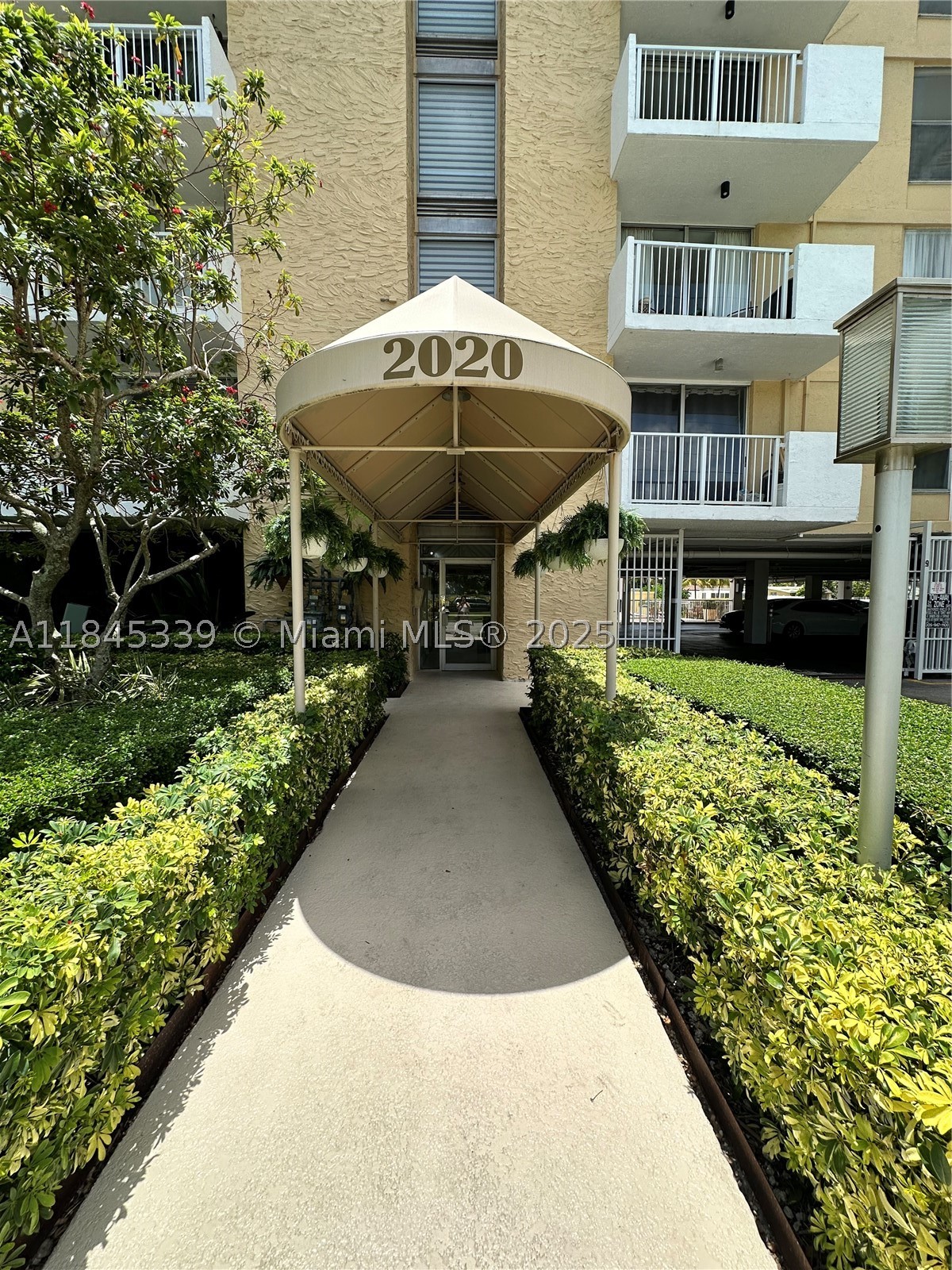 North Miami photo 4