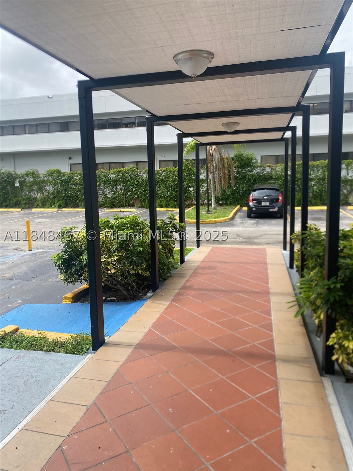 Miami photo 3