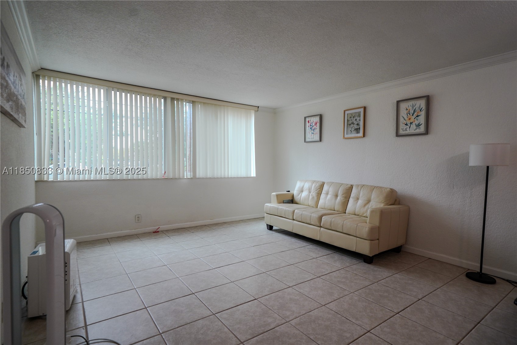 Miami photo 5
