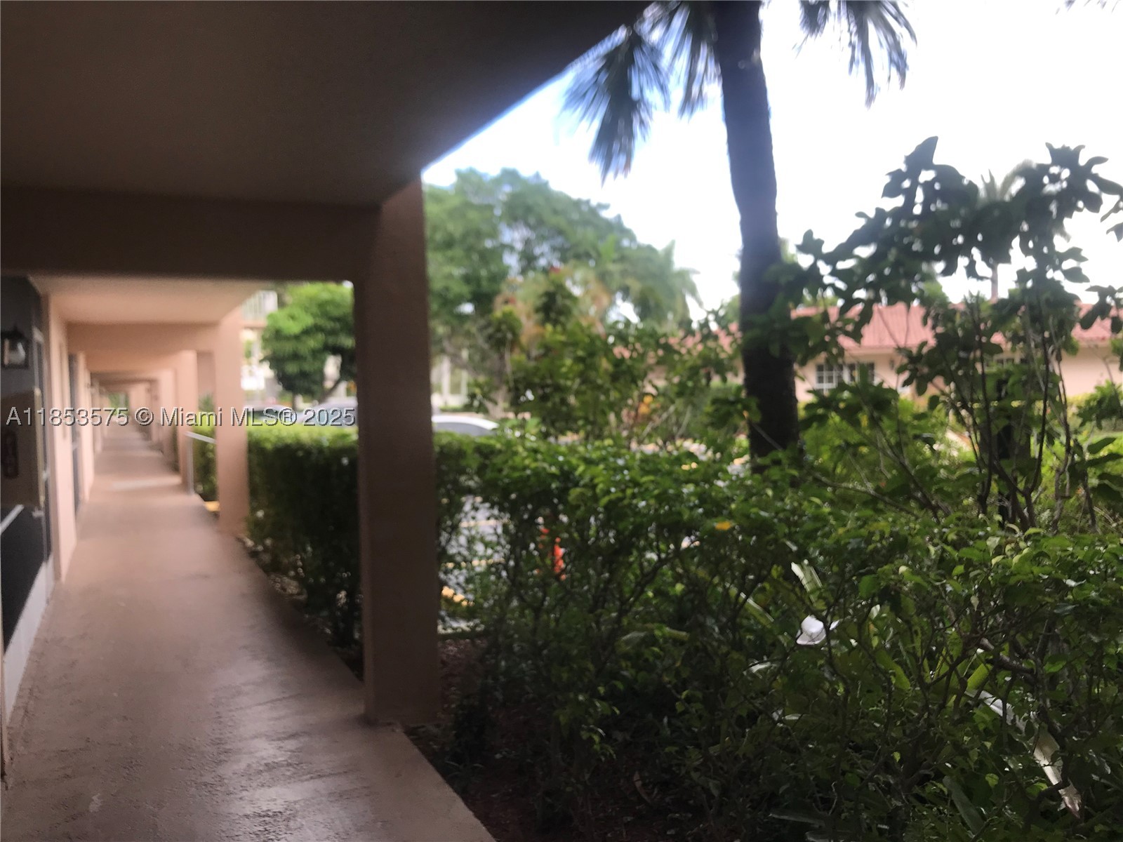 Hallandale Beach photo 2
