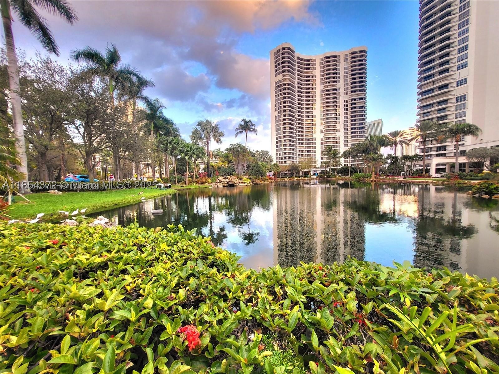 Aventura photo 3