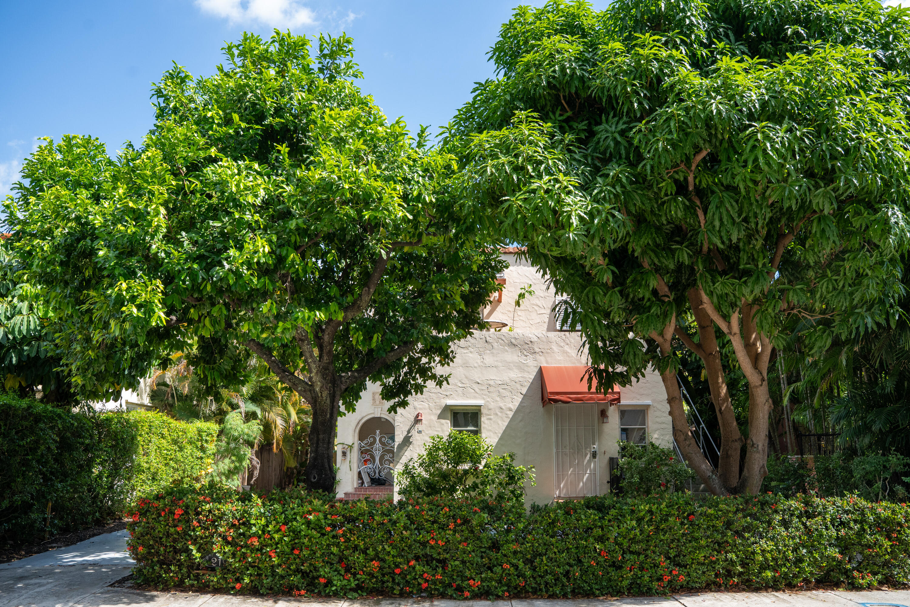 Palm Beach photo 1
