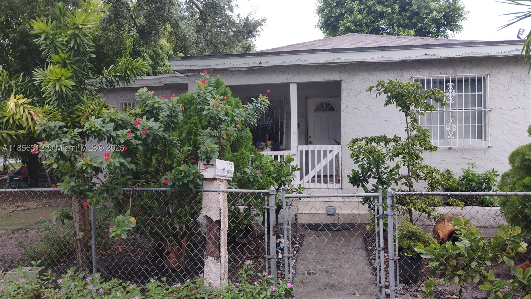 Miami photo 1