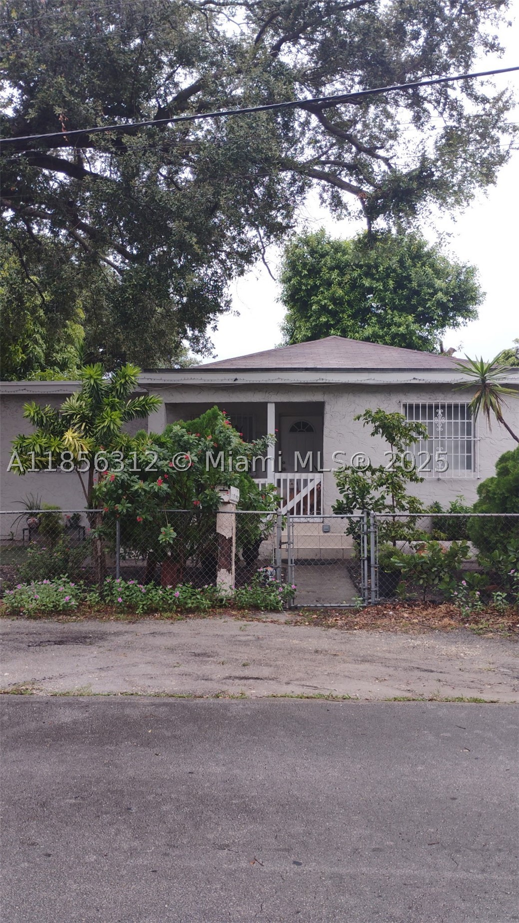 Miami photo 3
