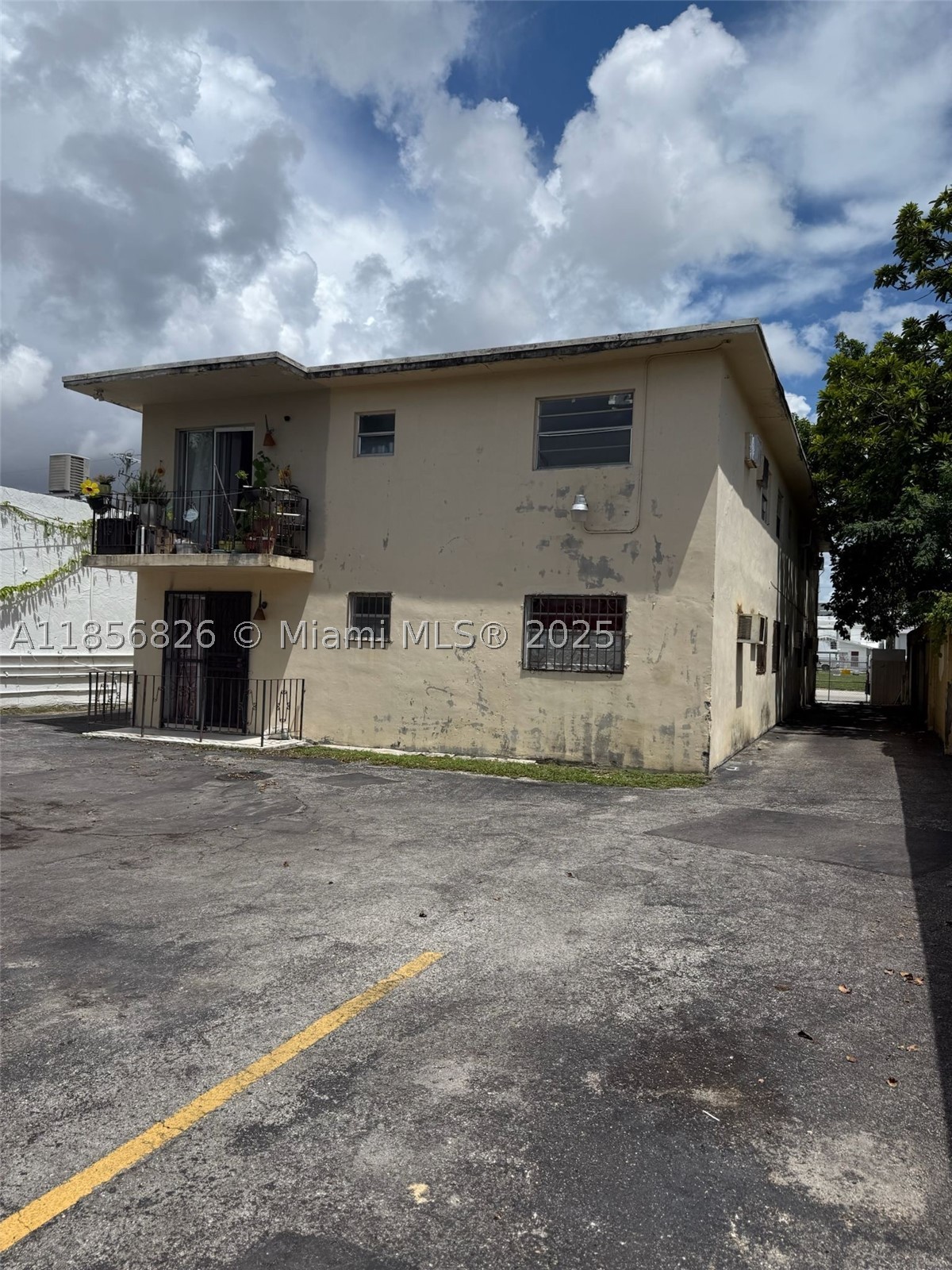 Miami photo 5