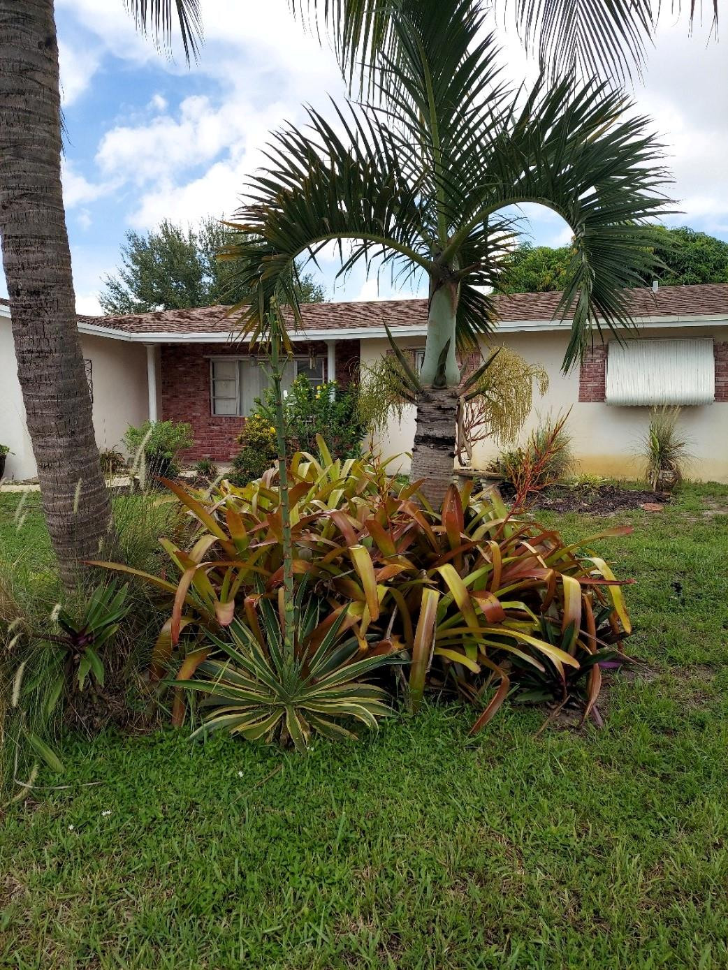 Fort Lauderdale photo 2