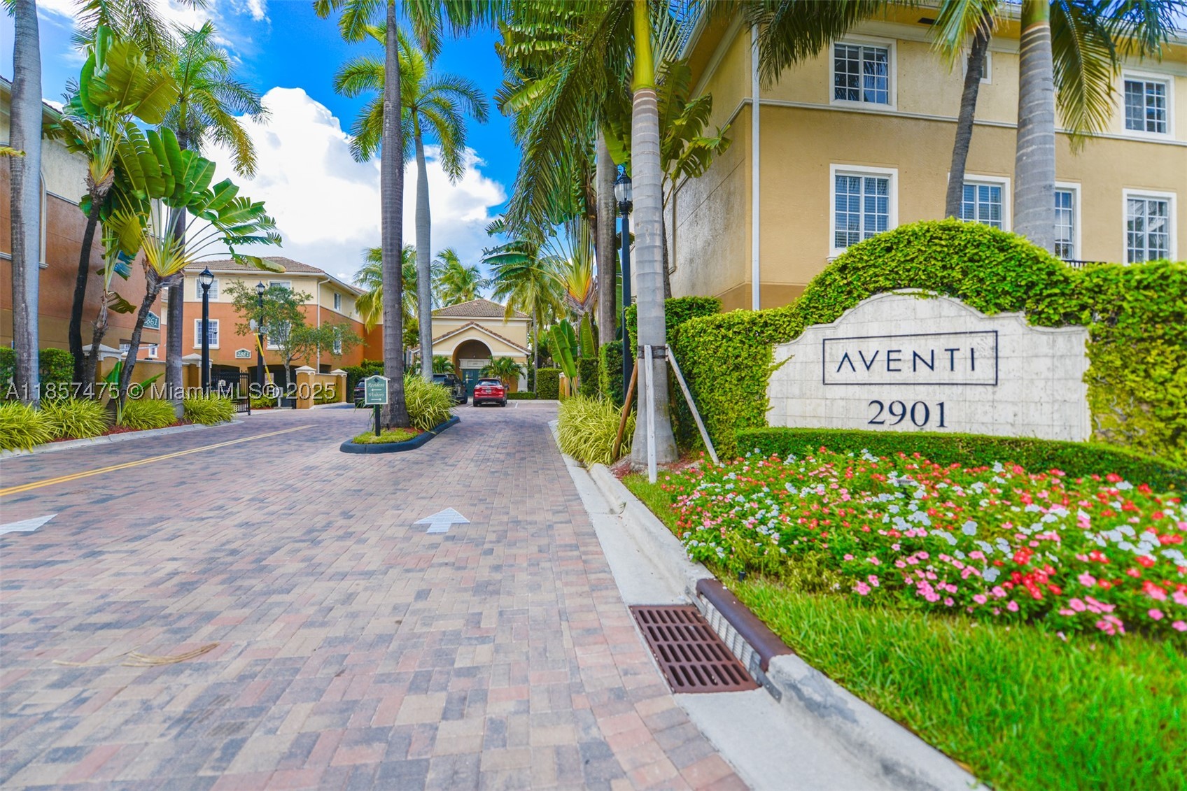 Aventura photo 1
