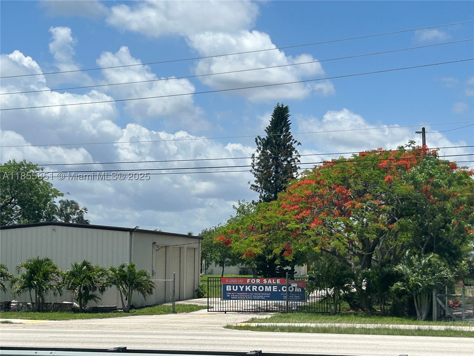 Miami photo 4