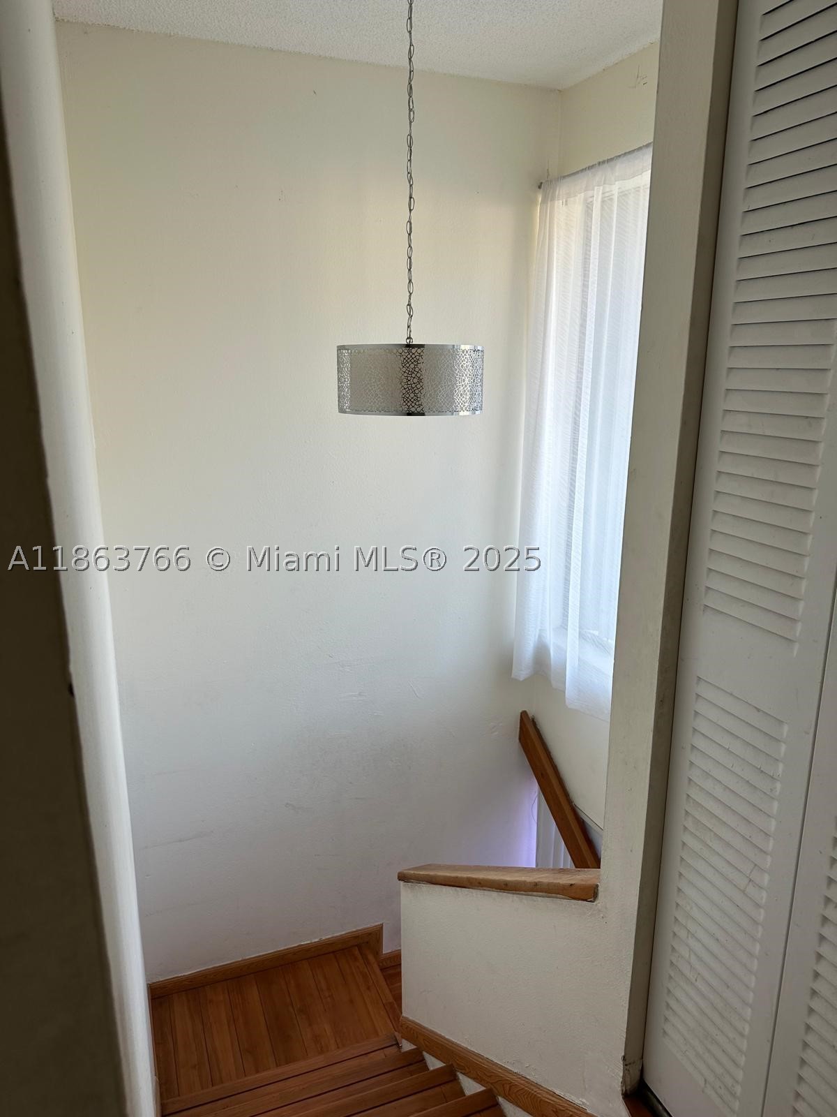 Miami photo 3