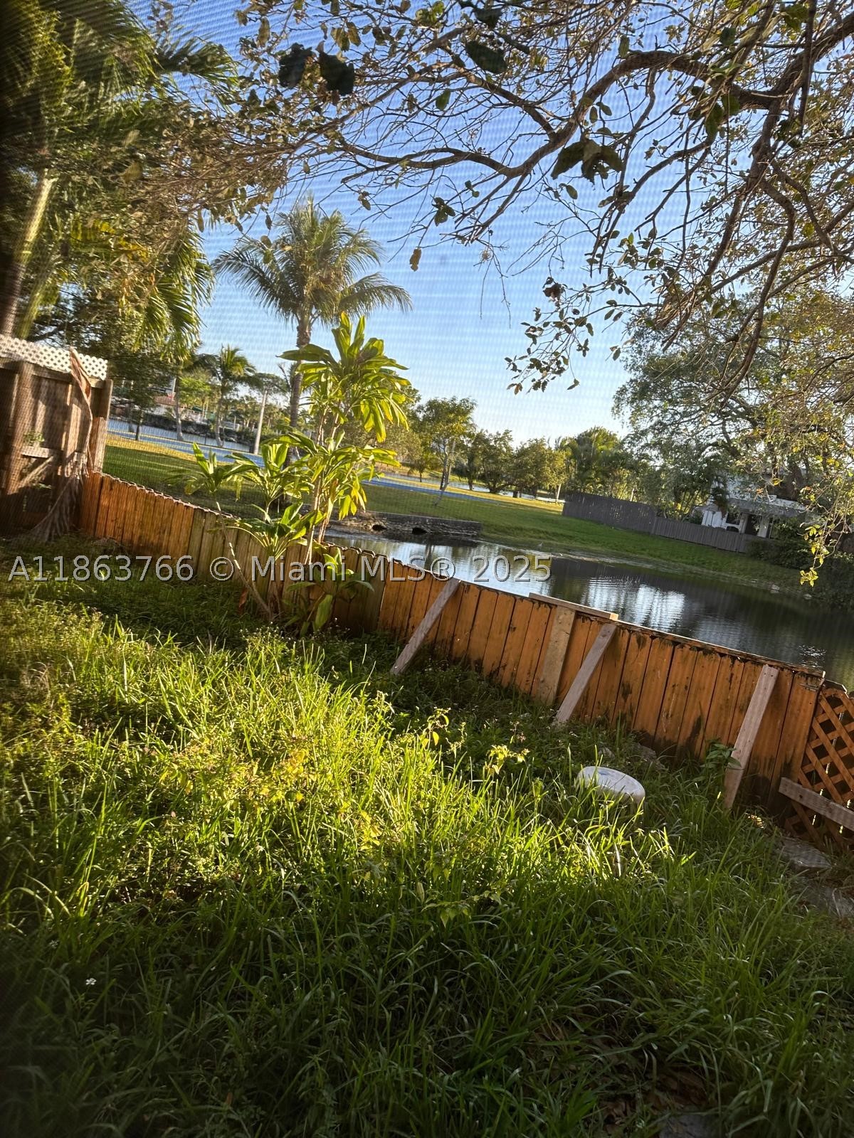 Miami photo 5