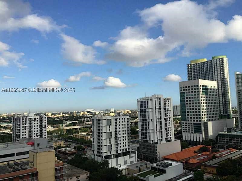Miami photo 5