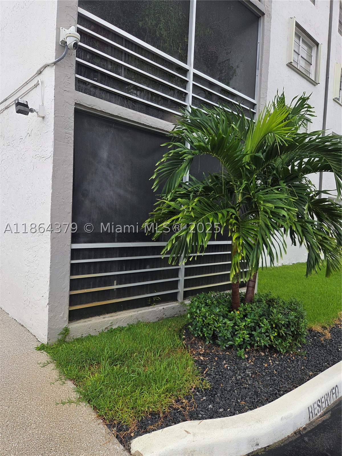 Miami photo 3