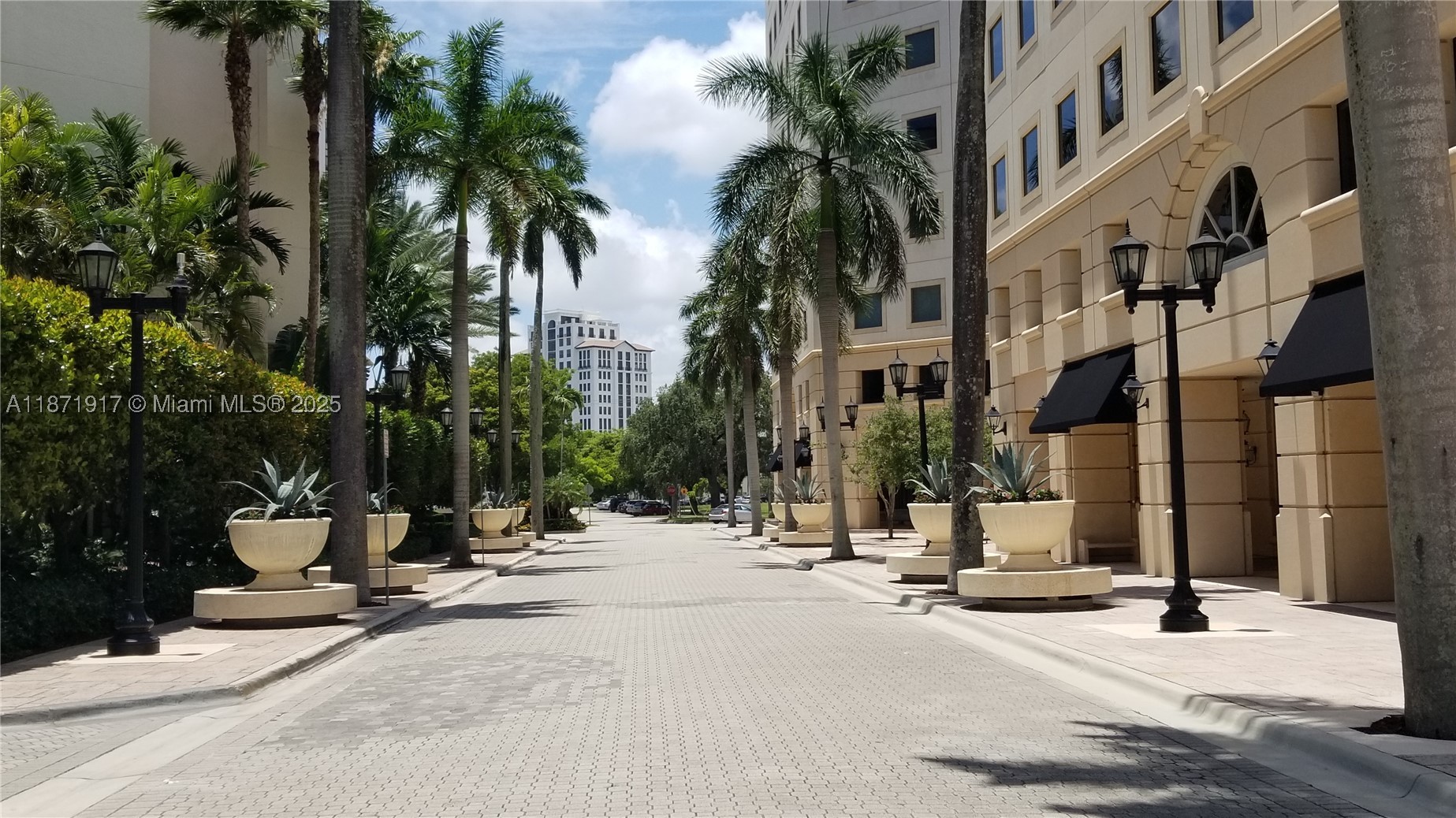 Coral Gables photo 5