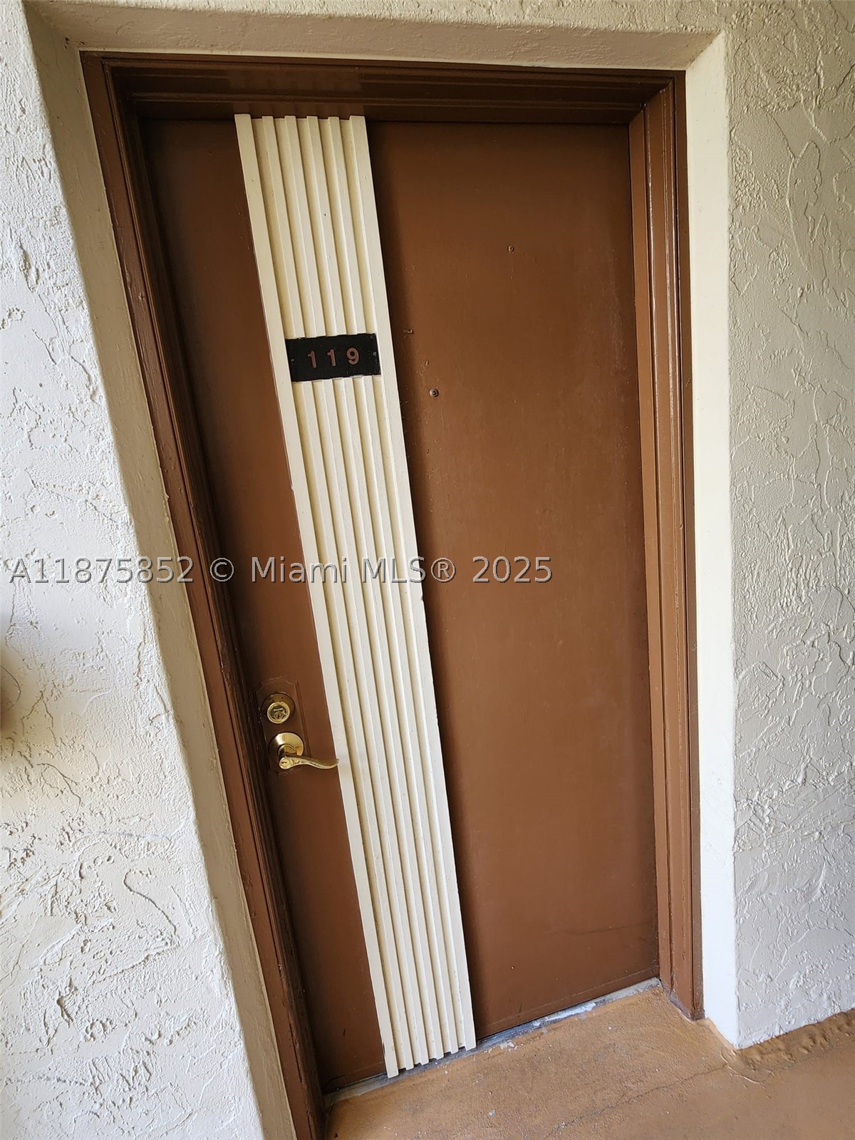 Miami photo 3