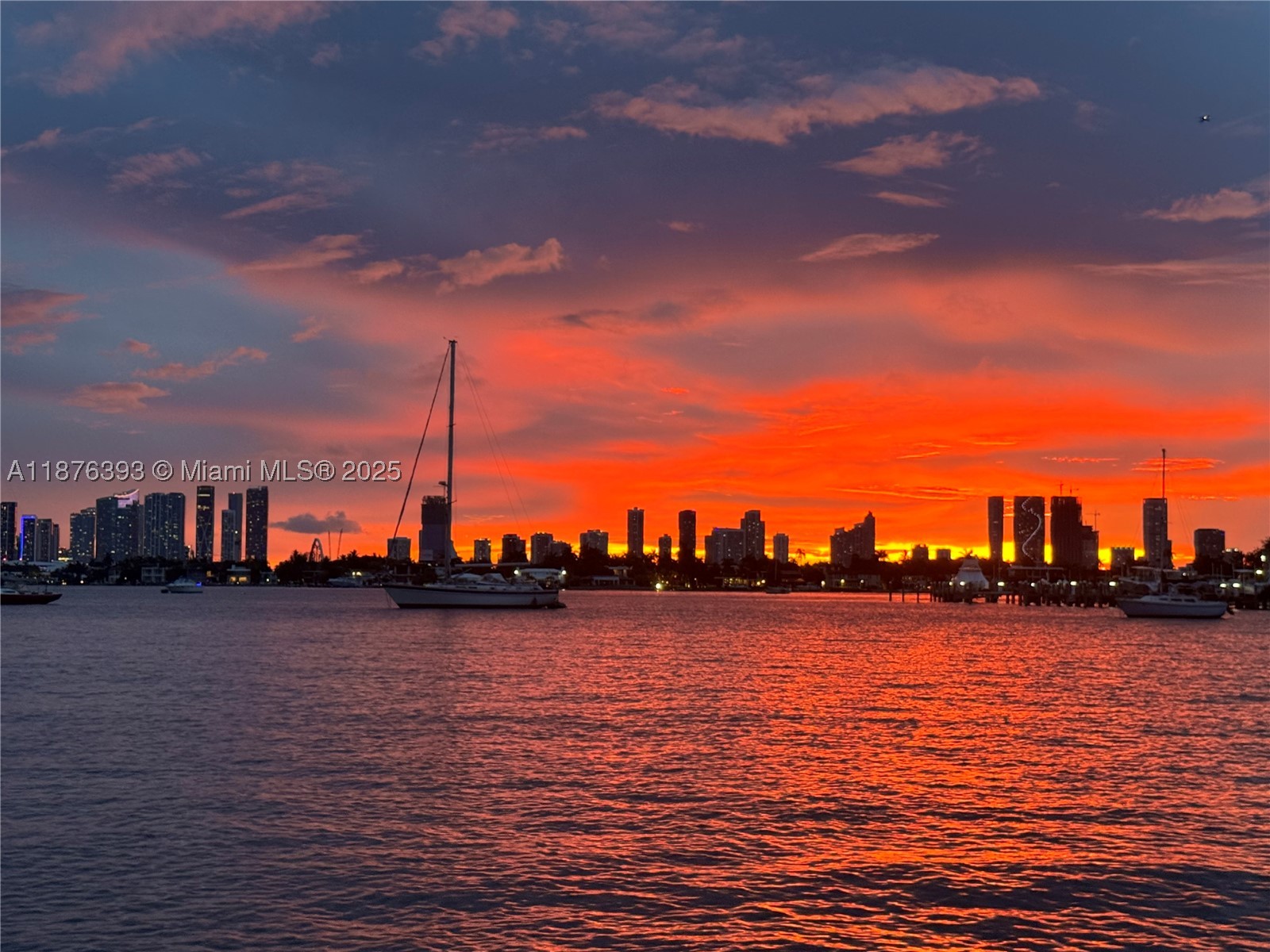 Miami Beach photo 2