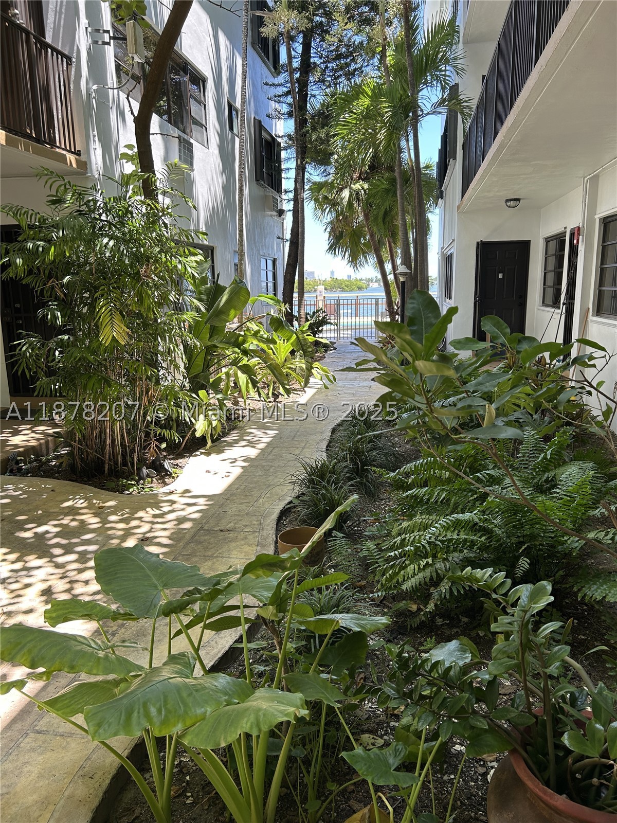 Miami photo 2