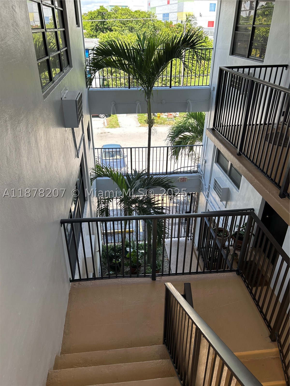 Miami photo 4